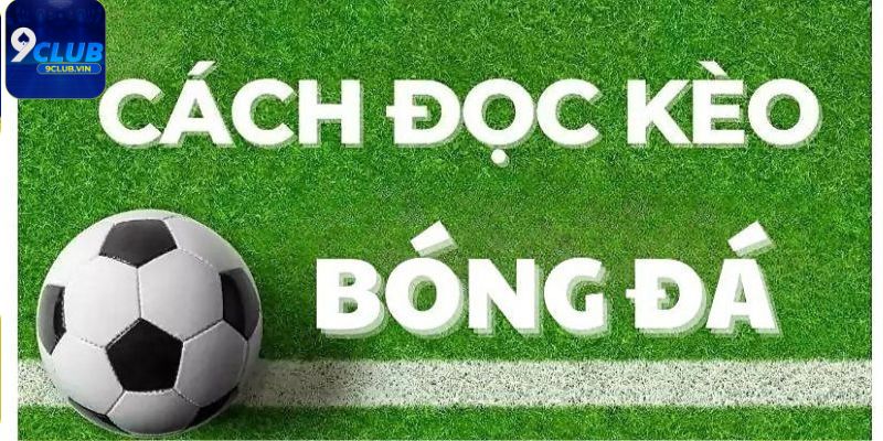 Cách đọc kèo bóng đá châu Âu